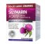 Silymarin Forte 250 mg - Mikronizovaný ostropestřec s vit D3 90 tablet