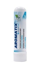 Aromatix nosní inhalátor, ledová máta 1 ks