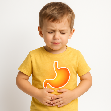 TRÁVENÍ A BŘÍŠKO - Cíl použití - Trávení a metabolismus