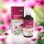 Naturprodukt Echinacea kapky 50 ml